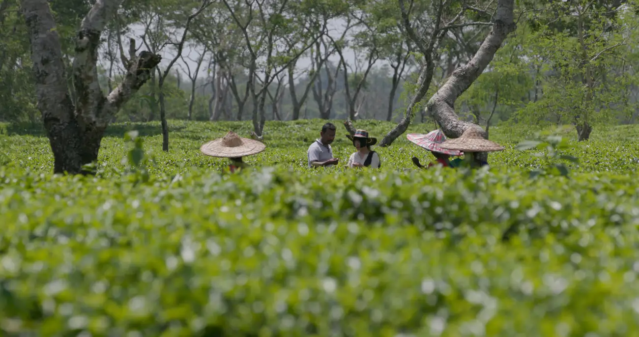 Several workers talk to a visitor at a vast tea plantation in Assam.