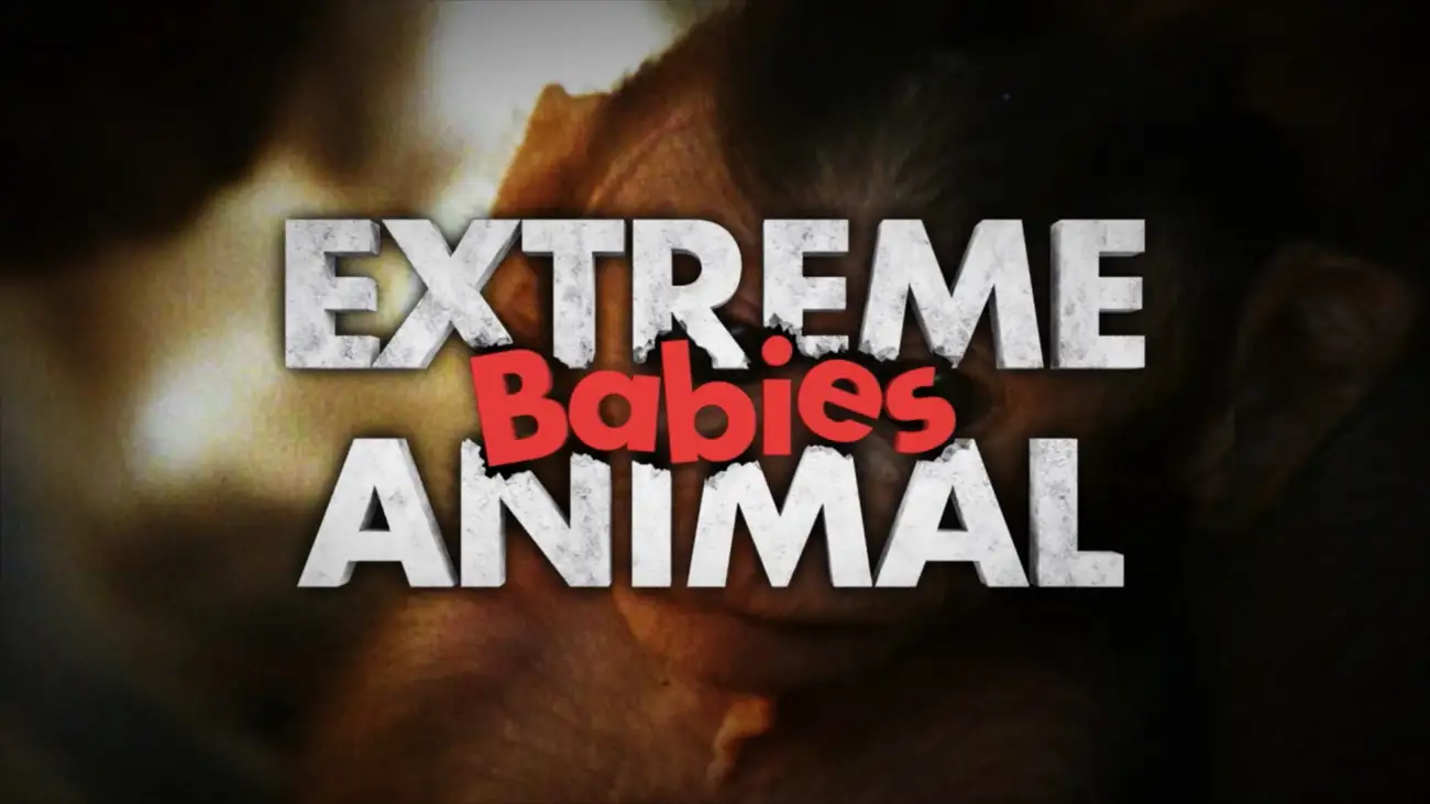 'Extreme Animal Babies' title graphic.