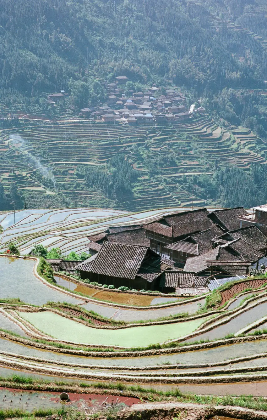Mesmerising rice paddies at Jiabang, Guizhou.