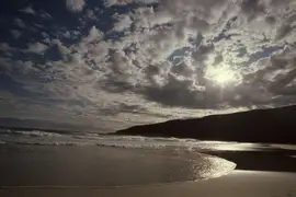 Backlit view of Sandfly Bay, Otago Peninsula, New Zealand.