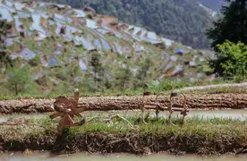 Tilling equipment at Jiabang's rice paddies.