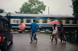 Train crossing in Assam, India.