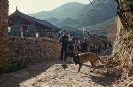 Laiya, the loyal local dog who escorted me on my walks around Yuhu Village.