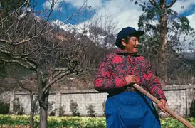 Li-nainai tends to the fruit and vegetable garden behind her house.