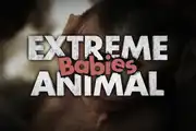 'Extreme Animal Babies' title graphic.